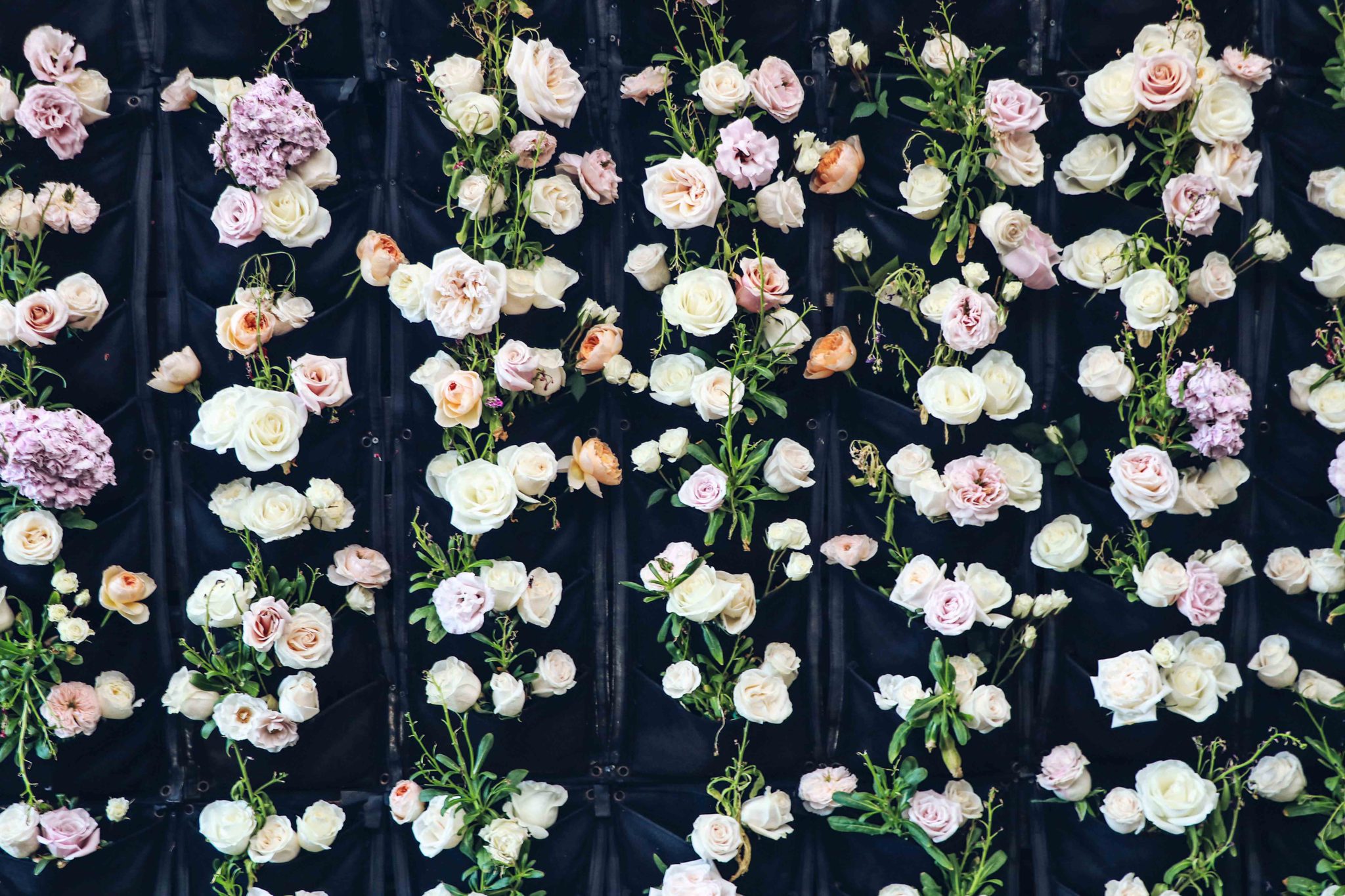 Best Brunch Place in LA: Sofitel Los Angeles at Beverly Hills: A French Brunch in an intimate and beautiful patio Flower wall