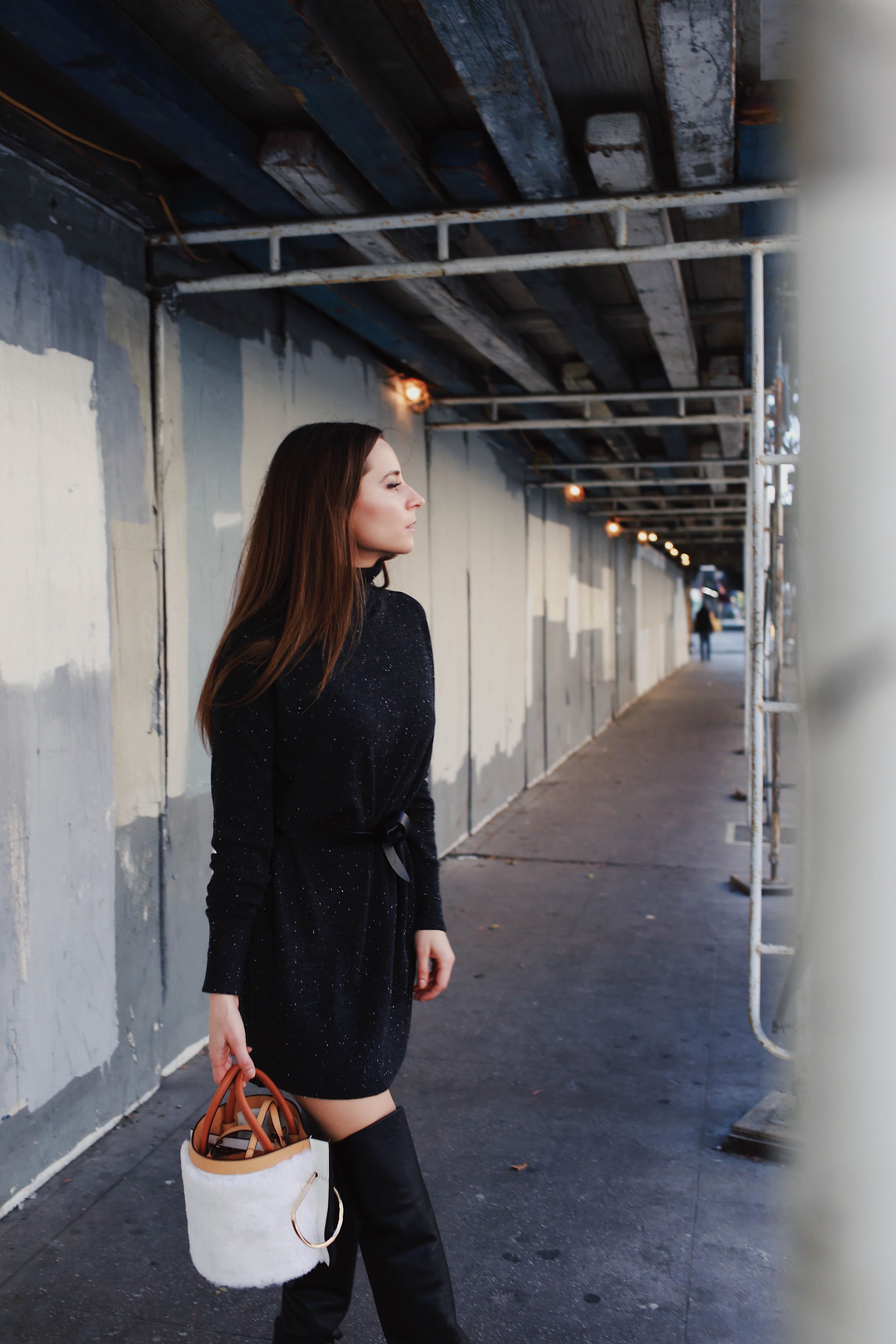 everlane sweater dress