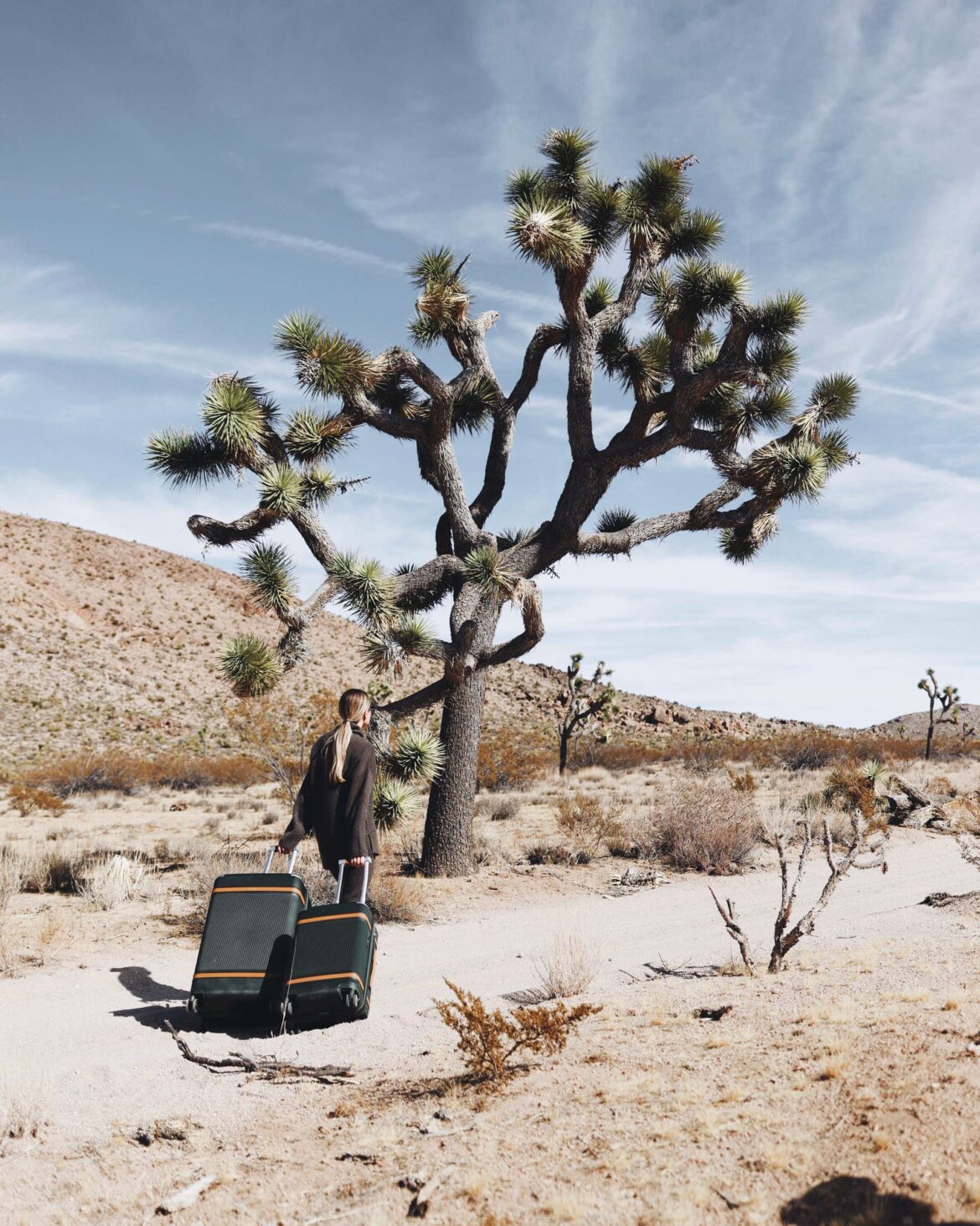How-to-Choose-Your-Luggage-Top-Things-to-Consider-When-Picking-Premium-Luggage Explore the Paravel Aviator Luggage in Safari Green—where luxury, durability, and style meet. The perfect companion for sophisticated travelers.